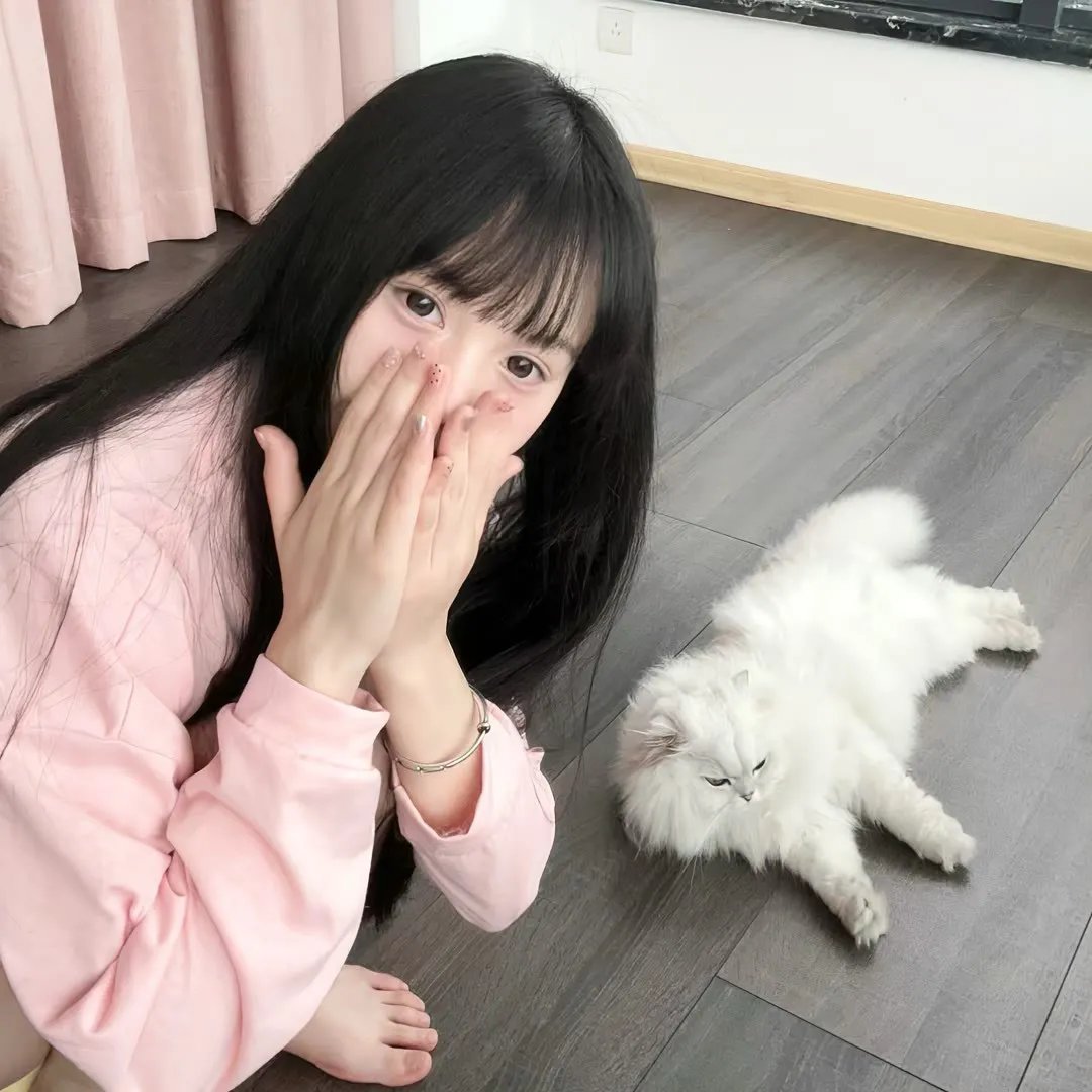 沉香如屑·沉香重华